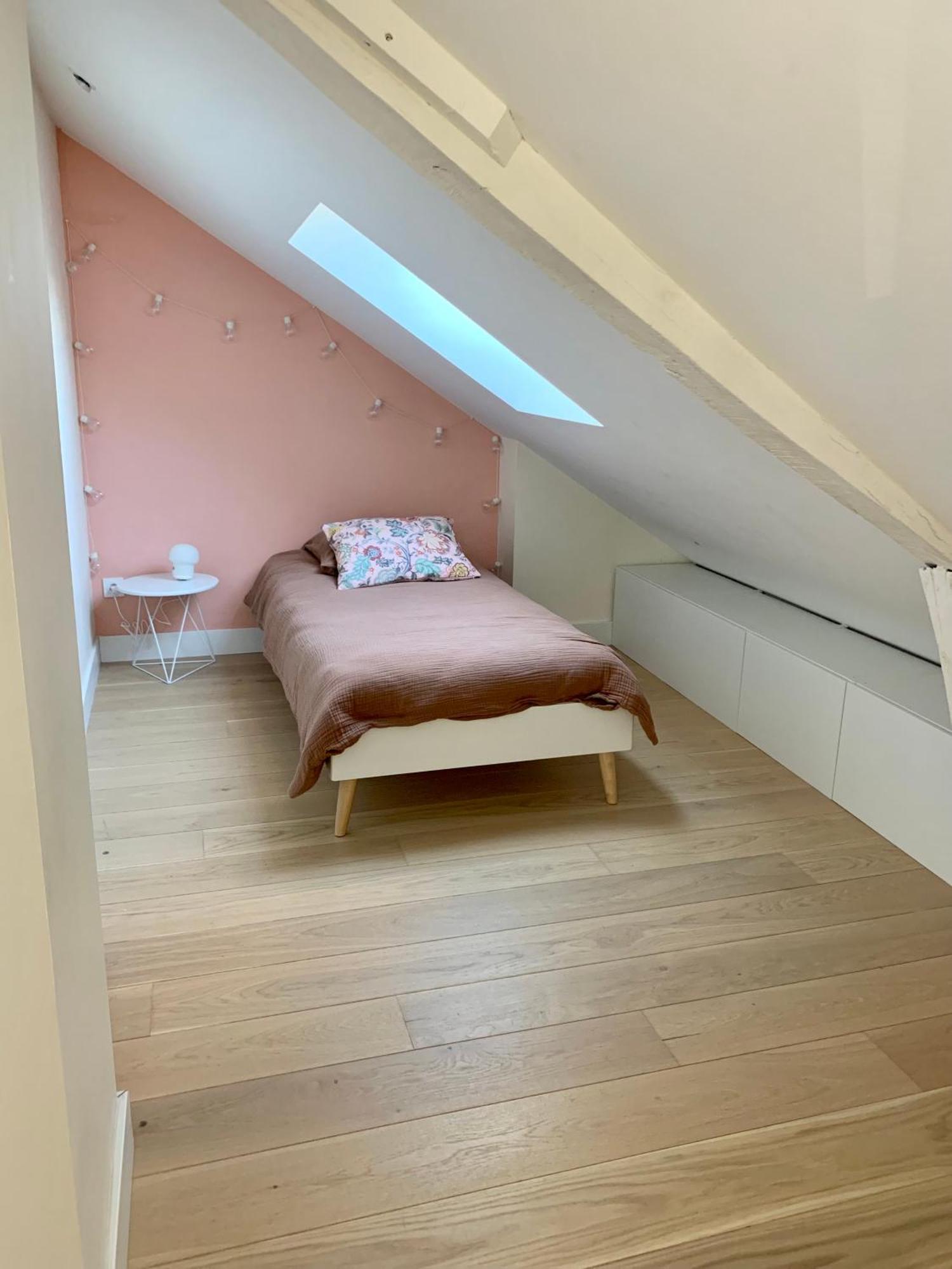 Appartement Hyper Centre Grand Plein De Charme